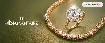 Le Diamantaire