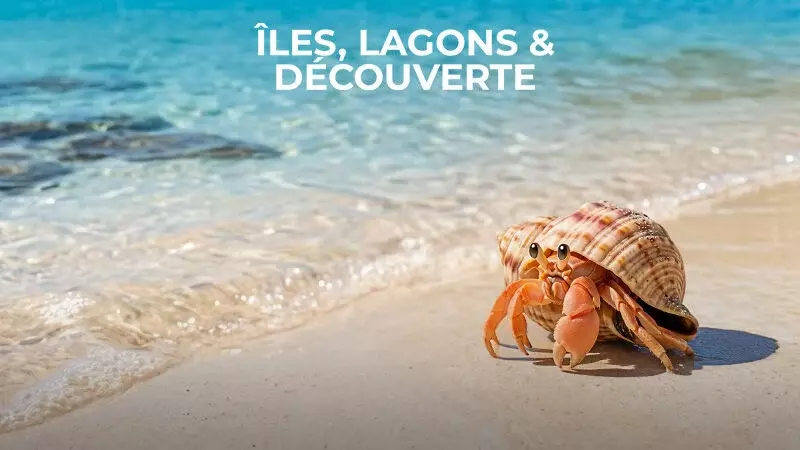 Îles, lagons & découverte