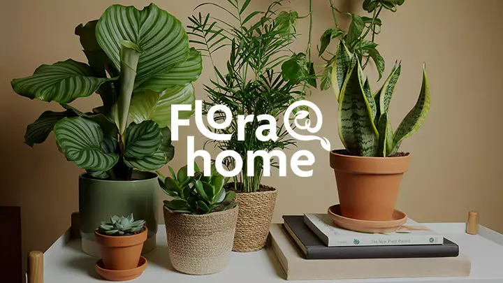 Flora At Home