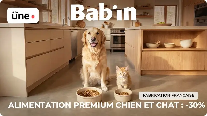 Bab'in