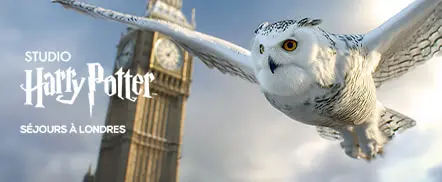 Studio Harry Potter : séjours à Londres