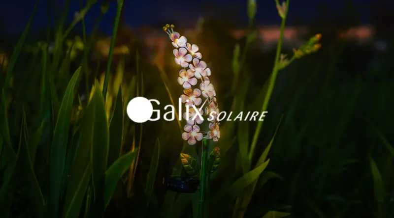 Galix