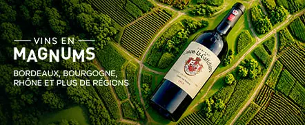 Vins en Magnums