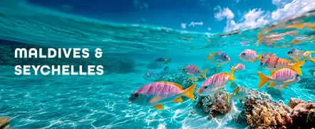 Maldives & Seychelles