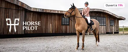 Horse Pilot