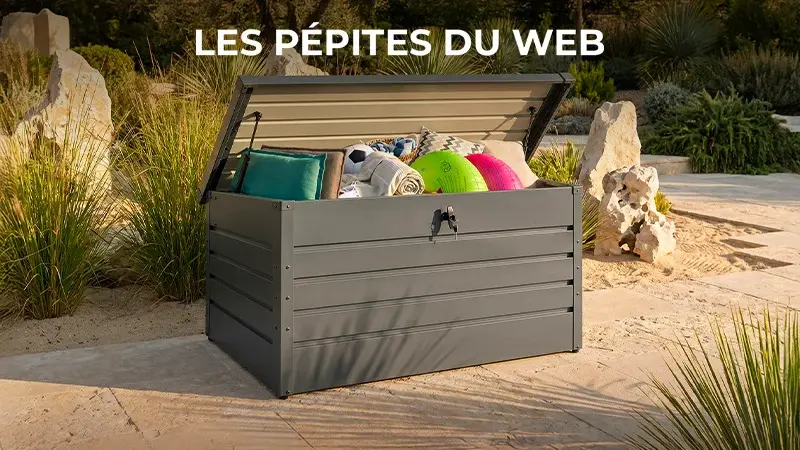Les Pépites Du Web