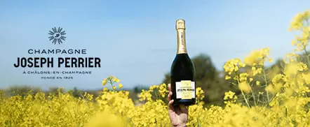 One Day Joseph Perrier