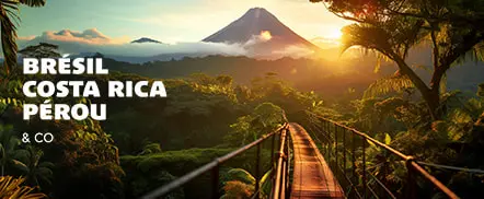 Brésil, Costa Rica, Pérou & co