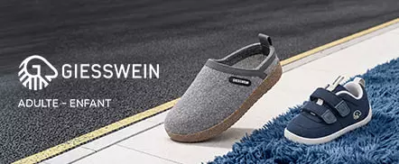 Giesswein