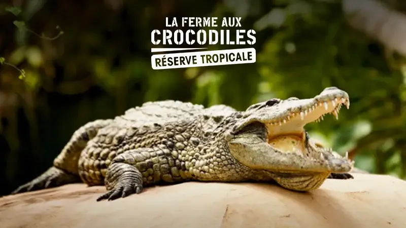 La ferme aux crocodiles