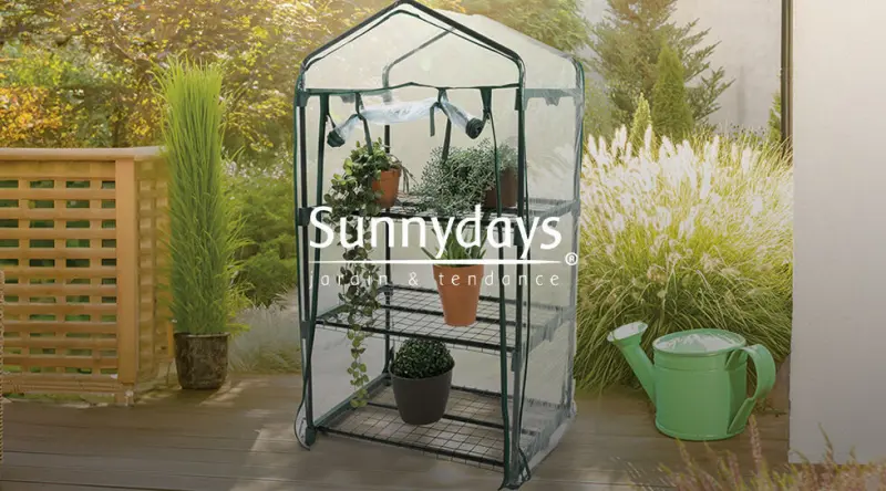 Sunny Days