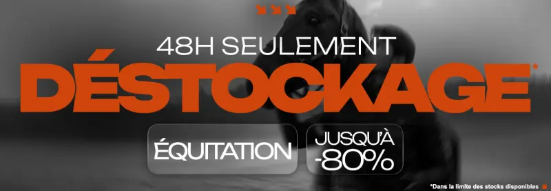 Déstockage Equitation