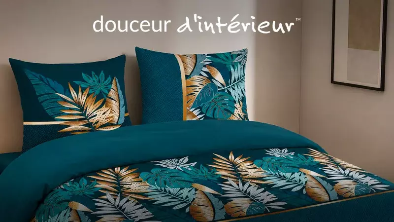 Douceur D'Intérieur