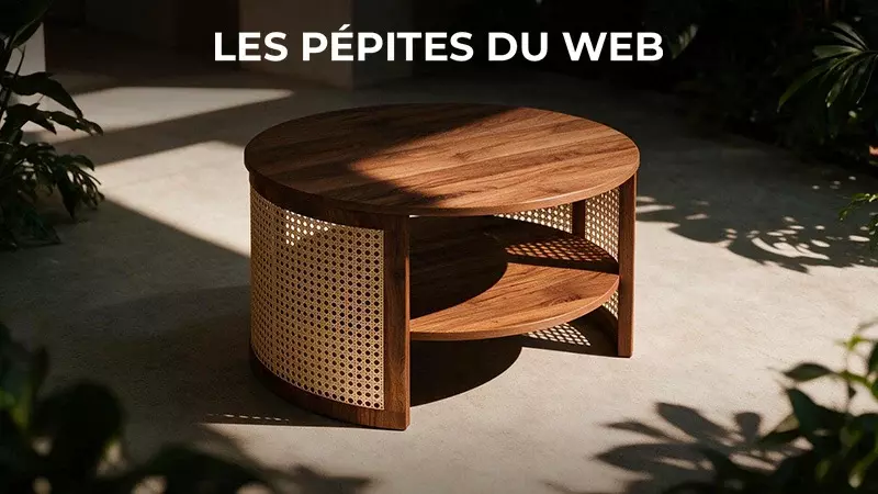 Les Pépites Du Web