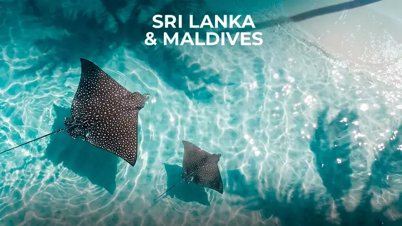 Sri Lanka & Maldives