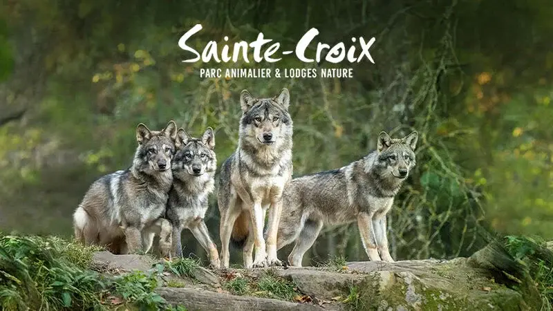 Sainte-Croix Parc Animalier & Lodges Nature