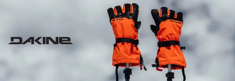 Dakine winter