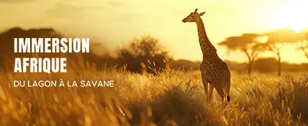 Immersion Afrique - Du lagon à la savane