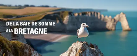 De la Baie de Sommes à la Bretagne