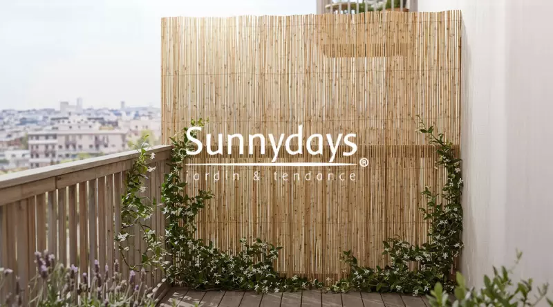 Sunny Days