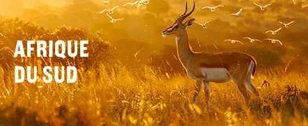 Afrique du Sud