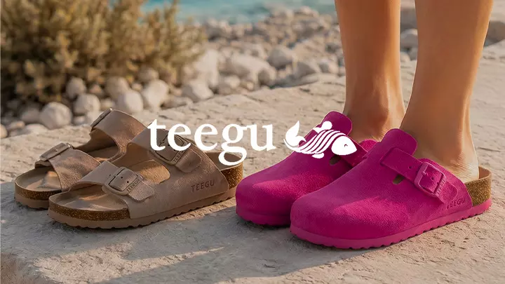 Teegu