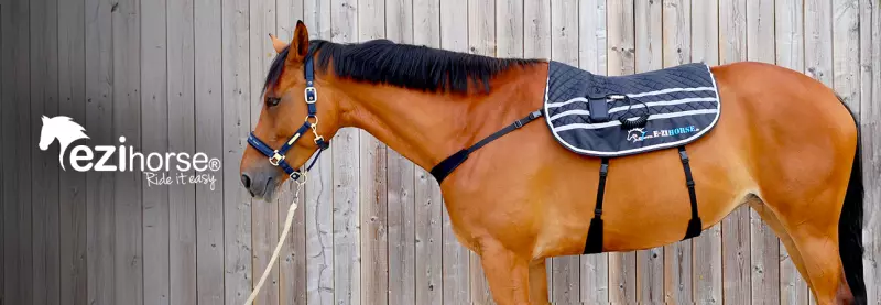 E-Zihorse