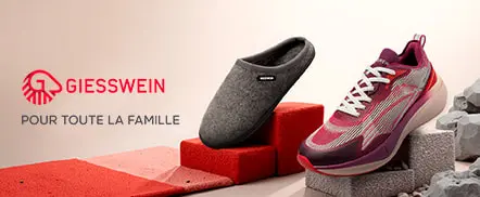 Giesswein