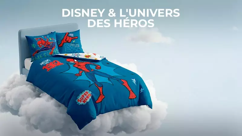 Disney & L'Univers des Héros