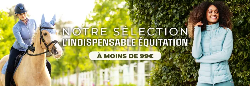 Sélection moins de 99 euros