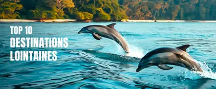Top 10 destinations lointaines