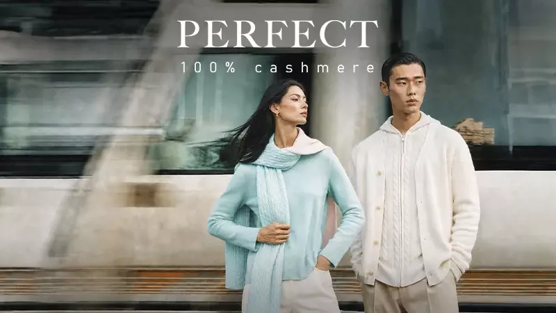 Perfect cashmere