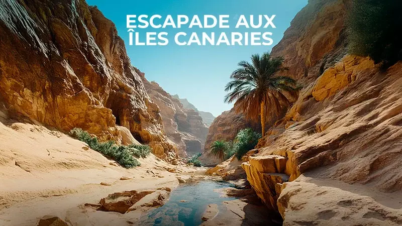 Escapade aux îles Canaries