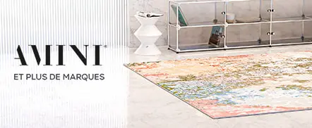 Amini Carpets
