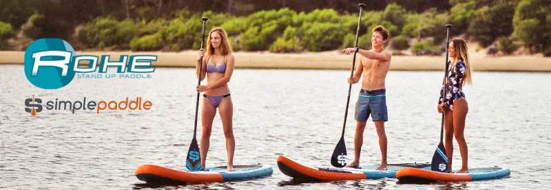 Simple Paddle & ADRN & Rohe