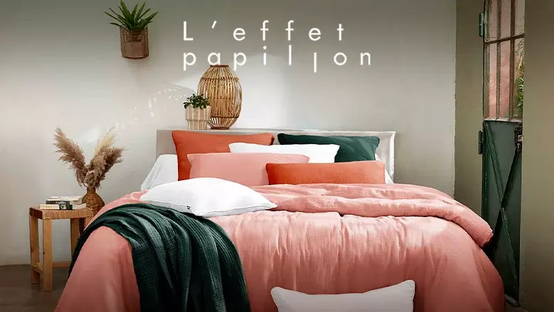 L'effet papillon