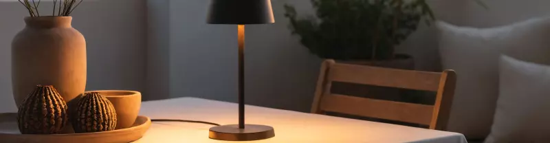 Luminaires & électroménager