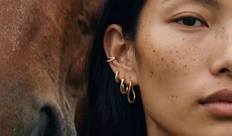 Les Joyaux d'Auré