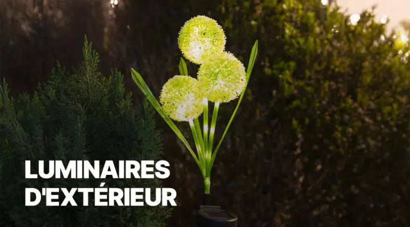 Luminaires d'extérieur
