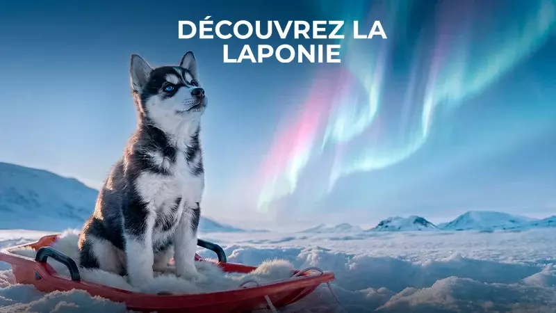 Découvrez la Laponie