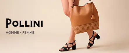 Pollini