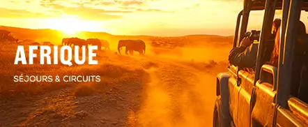 Afrique, séjours et circuits
