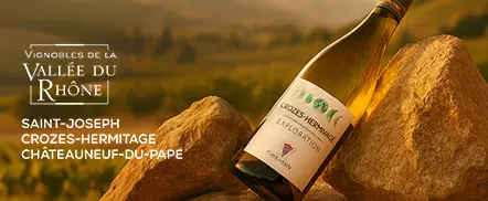 Vignoble de la Vallée du Rhône