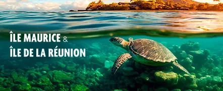 Ile Maurice & Ile de la Réunion