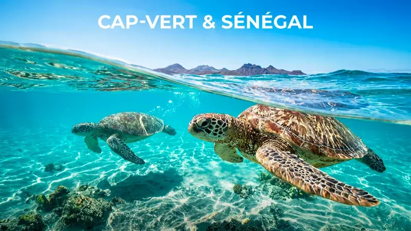 Cap-Vert & Sénégal