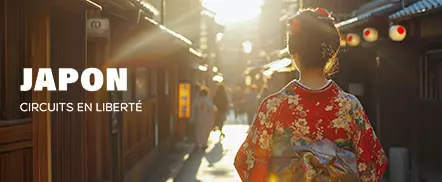 Japon : circuits en liberté