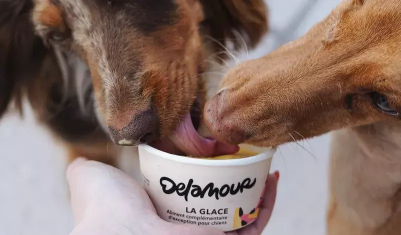 Delamour