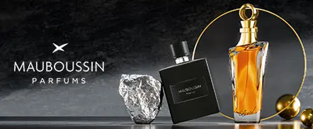 Mauboussin