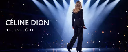 Céline Dion en concert