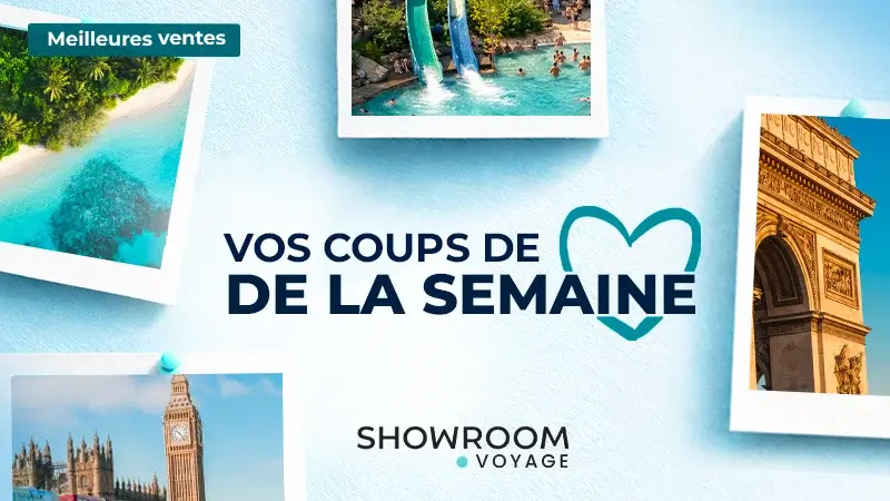Vos coups de coeur